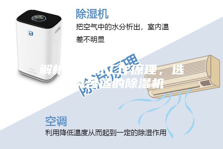 解析壓縮機(jī)工作原理,選購最合適的除濕機(jī)