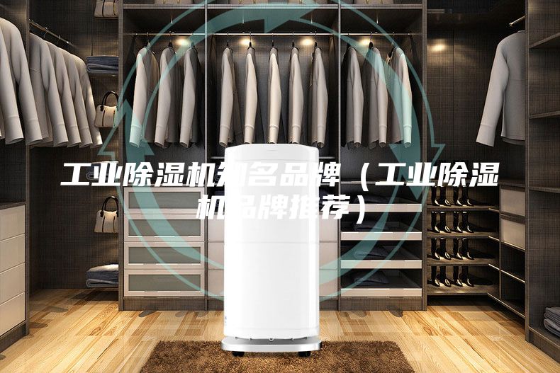 工業除濕機知名品牌（工業除濕機品牌推薦）