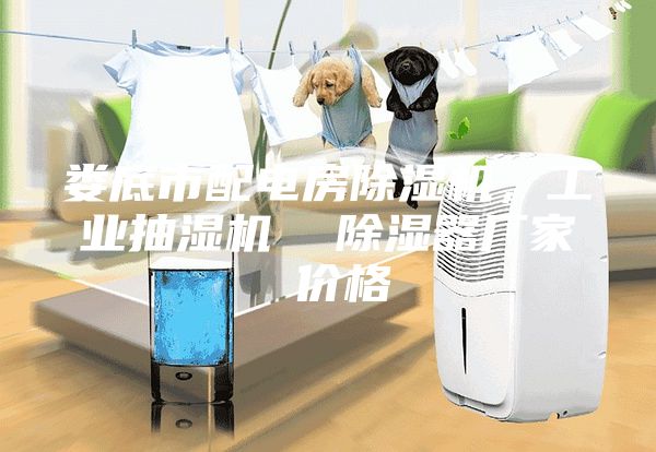 婁底市配電房除濕機,工業抽濕機 除濕器廠家 價格
