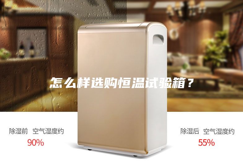 怎么樣選購恒溫試驗(yàn)箱？