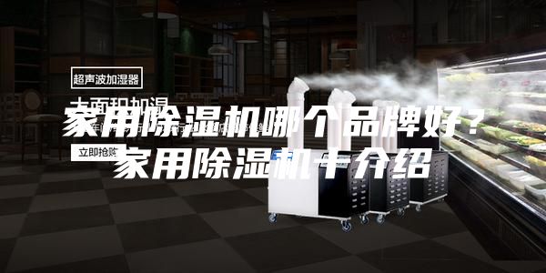 家用除濕機(jī)哪個(gè)品牌好?家用除濕機(jī)十介紹