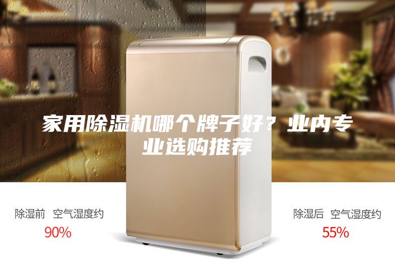家用除濕機哪個牌子好?業內專業選購推薦