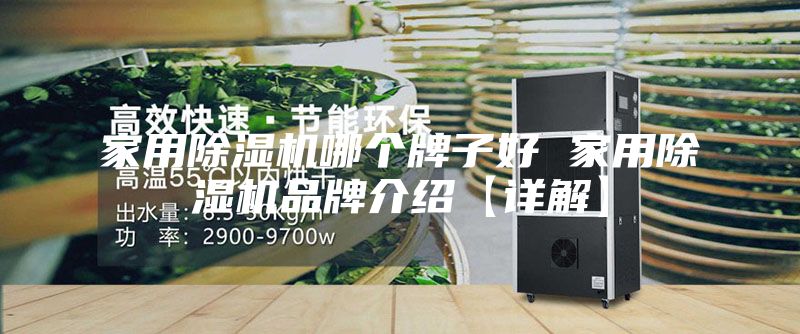 家用除濕機(jī)哪個(gè)牌子好 家用除濕機(jī)品牌介紹【詳解】