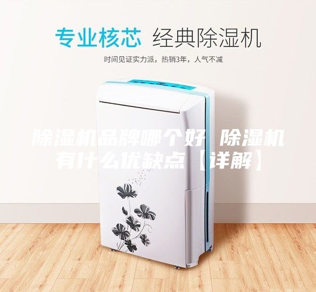 除濕機品牌哪個好 除濕機有什么優缺點【詳解】