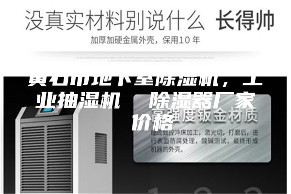 黃石市地下室除濕機,工業抽濕機 除濕器廠家 價格