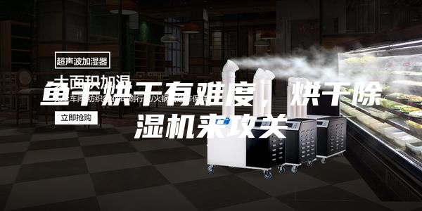 魚干烘干有難度，烘干除濕機(jī)來攻關(guān)