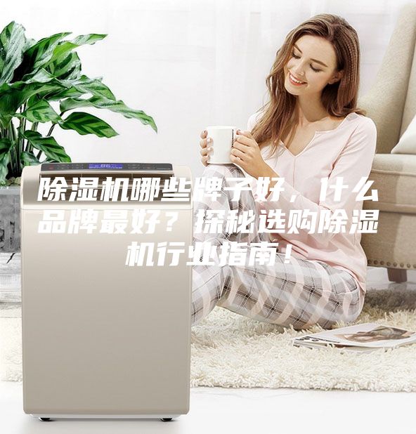 除濕機(jī)哪些牌子好,什么品牌最好?探秘選購除濕機(jī)行業(yè)指南!