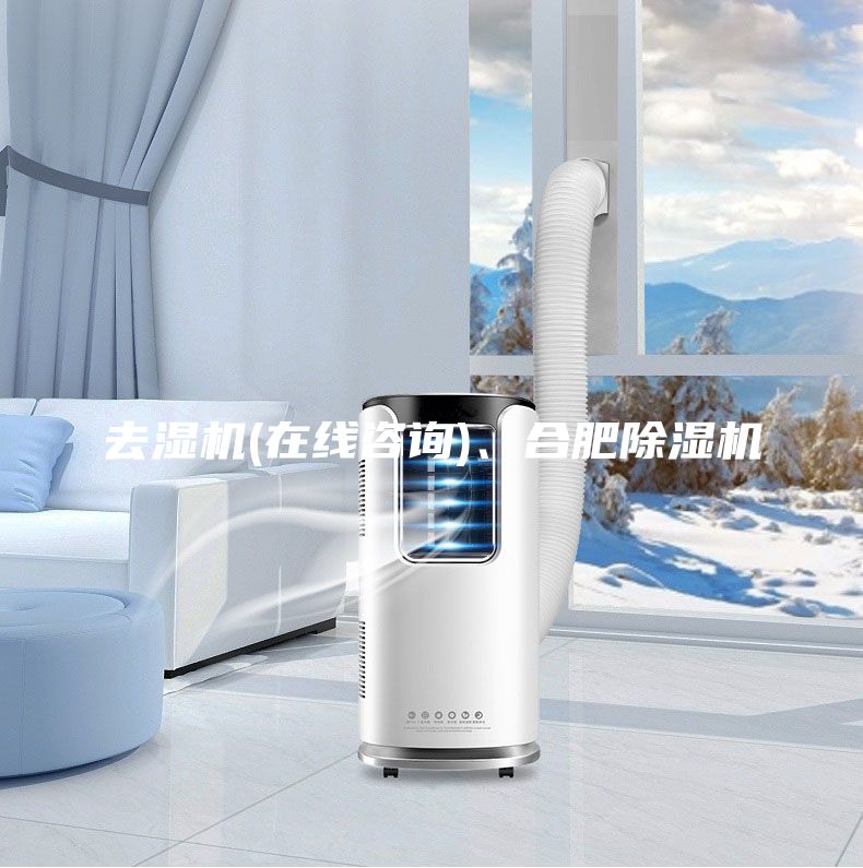 去濕機(jī)(在線咨詢)、合肥除濕機(jī)