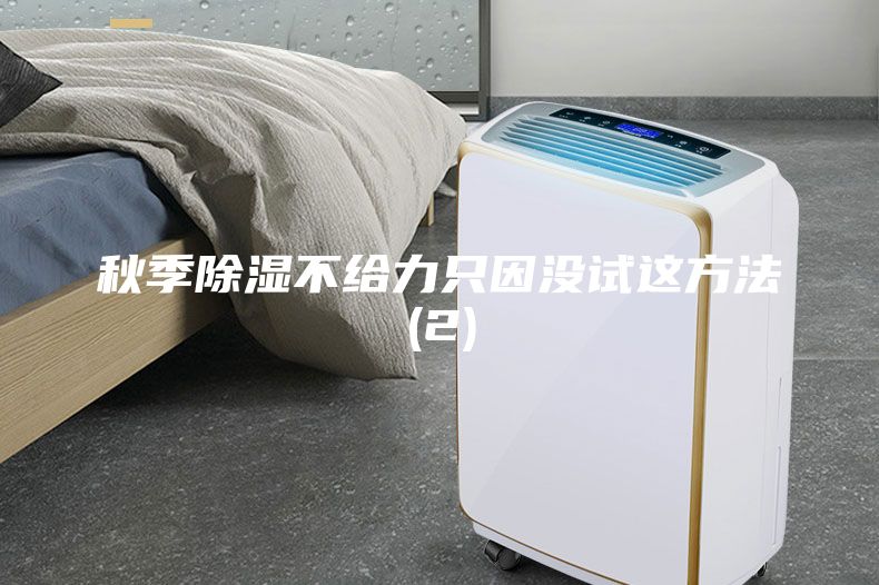 秋季除濕不給力只因沒(méi)試這方法(2)
