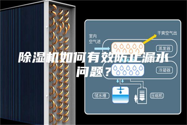 除濕機如何有效防止漏水問題？