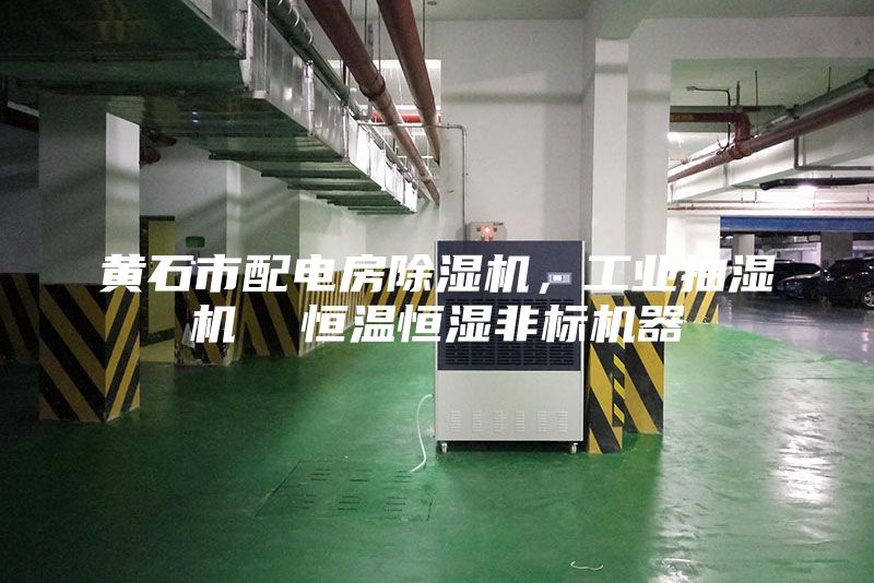 黃石市配電房除濕機,工業(yè)抽濕機 恒溫恒濕非標機器