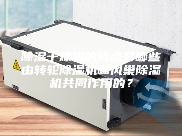 除濕干燥機的特點有哪些由轉輪除濕機和風巢除濕機共同作用的?