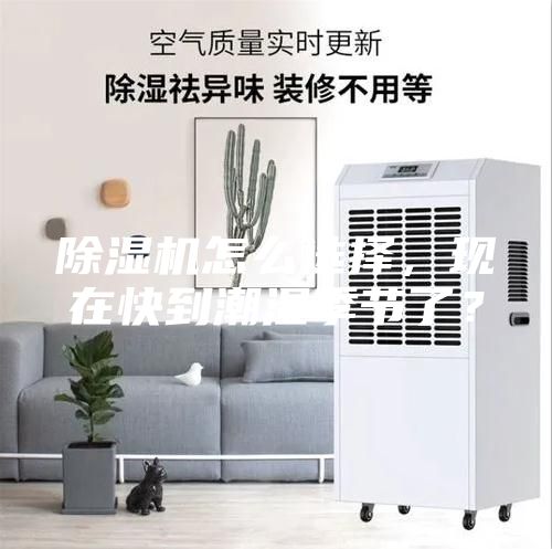 除濕機怎么選擇,現在快到潮濕季節了?