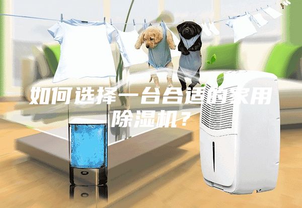 如何選擇一臺合適的家用除濕機?