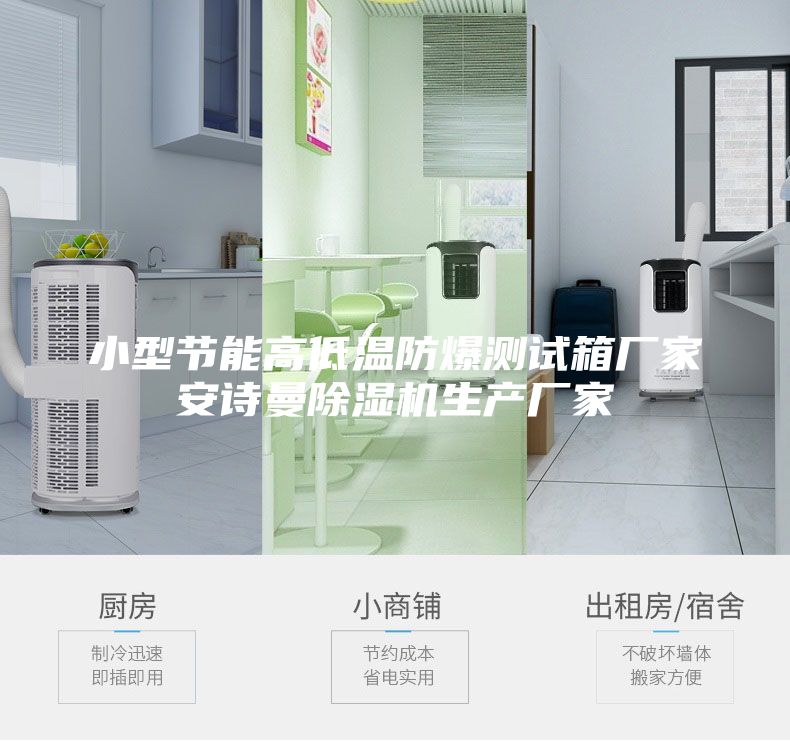 小型節(jié)能高低溫防爆測試箱廠家安詩曼除濕機生產(chǎn)廠家