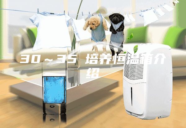 30~35℃培養(yǎng)恒溫箱介紹