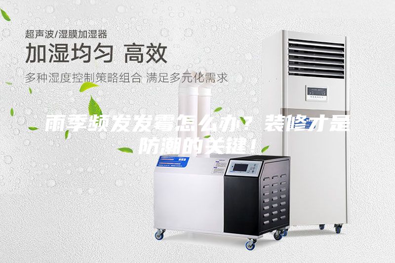 雨季頻發發霉怎么辦？裝修才是防潮的關鍵！