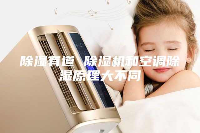 除濕有道 除濕機和空調除濕原理大不同