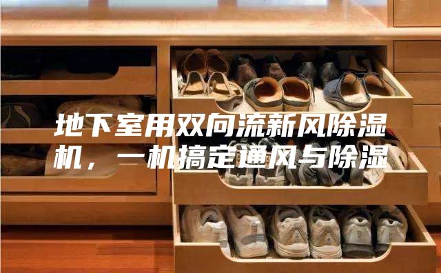 地下室用雙向流新風除濕機,一機搞定通風與除濕