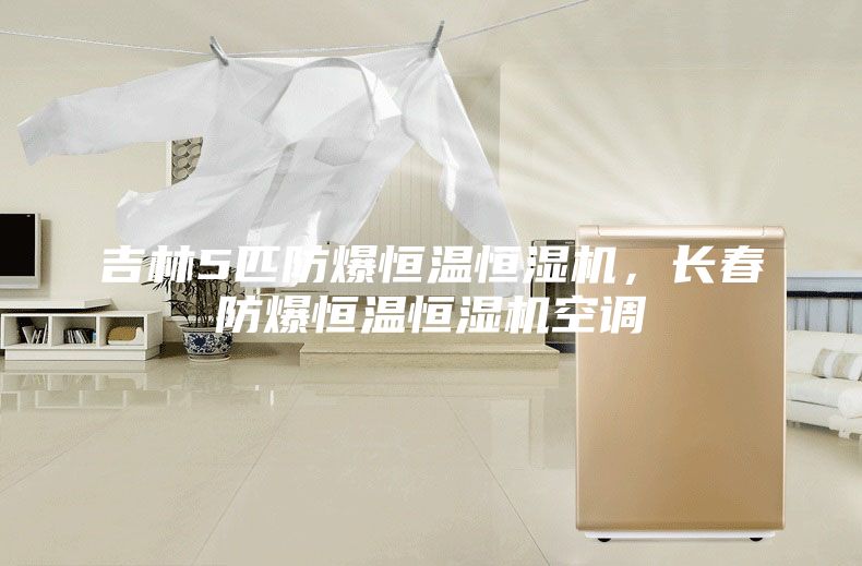 吉林5匹防爆恒溫恒濕機(jī),長(zhǎng)春防爆恒溫恒濕機(jī)空調(diào)