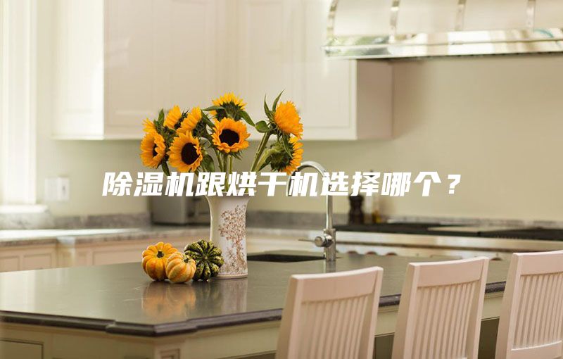 除濕機跟烘干機選擇哪個?