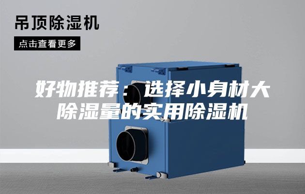 好物推薦:選擇小身材大除濕量的實用除濕機