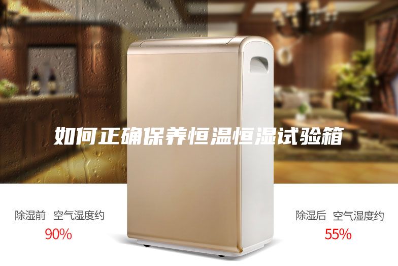 如何正確保養(yǎng)恒溫恒濕試驗箱