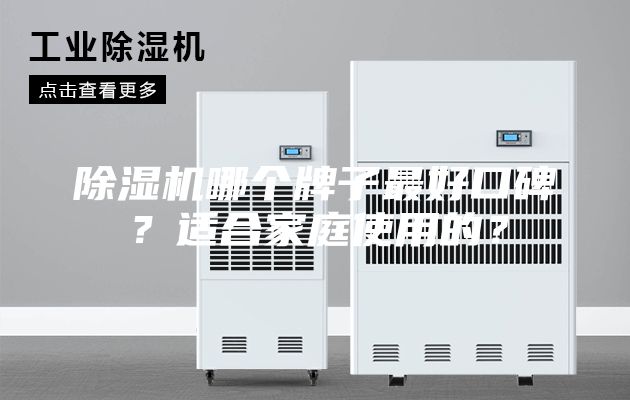 除濕機(jī)哪個(gè)牌子最好口碑？適合家庭使用的？