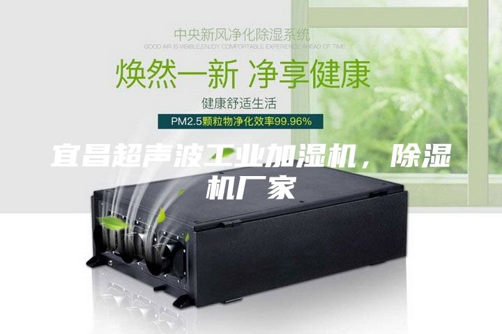 宜昌超聲波工業(yè)加濕機,除濕機廠家