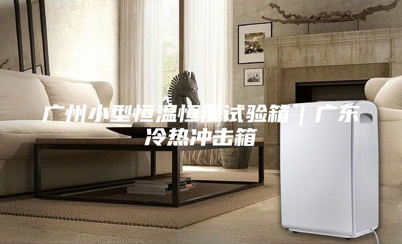 廣州小型恒溫恒濕試驗箱|廣東冷熱沖擊箱