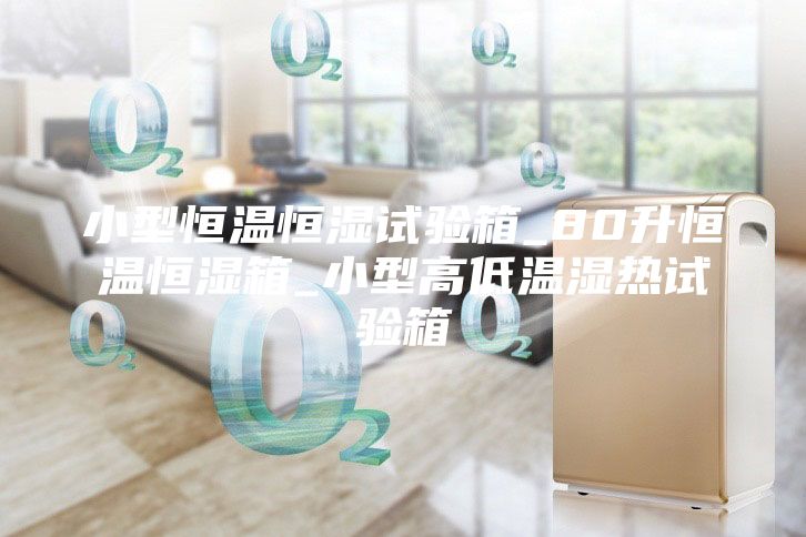 小型恒溫恒濕試驗箱_80升恒溫恒濕箱_小型高低溫濕熱試驗箱