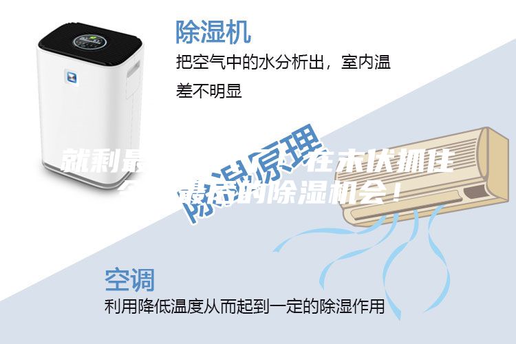 就剩最后一天了！在末伏抓住今年最后的除濕機(jī)會(huì)！