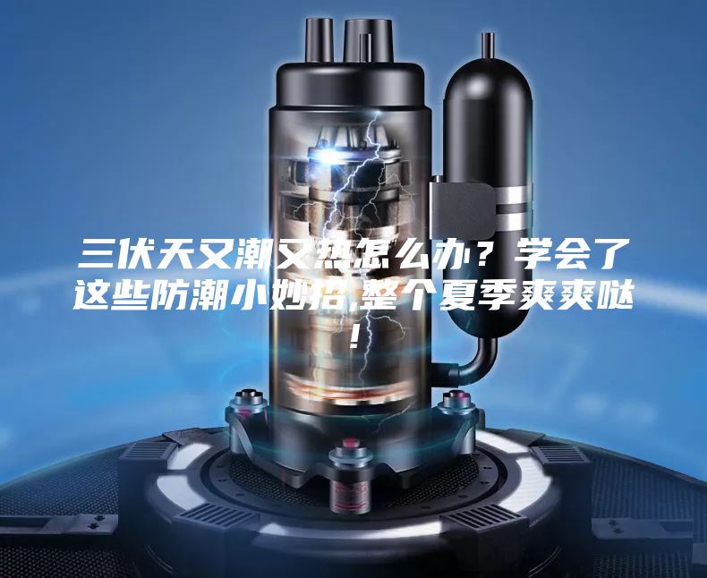 三伏天又潮又熱怎么辦?學會了這些防潮小妙招,整個夏季爽爽噠!