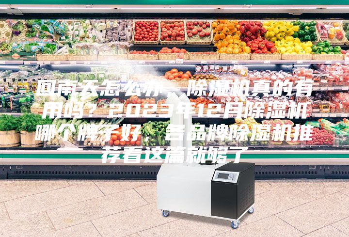 回南天怎么辦，除濕機真的有用嗎？2023年12月除濕機哪個牌子好，各品牌除濕機推薦看這篇就夠了