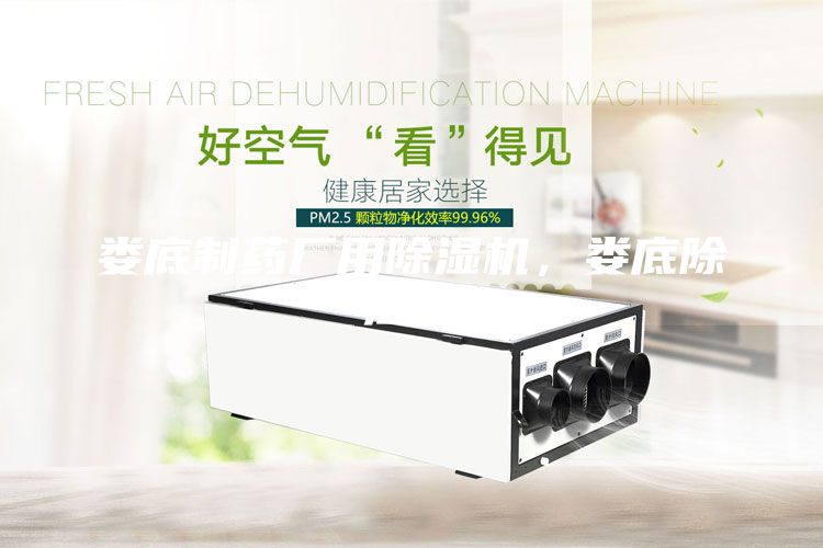 婁底制藥廠用除濕機，婁底除濕機