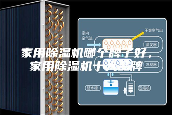 家用除濕機(jī)哪個牌子好,家用除濕機(jī)十大品牌