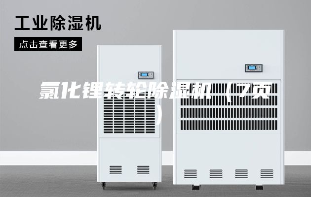 氯化鋰轉(zhuǎn)輪除濕機(jī)（7頁）