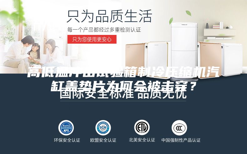 高低溫沖擊試驗箱制冷壓縮機汽缸蓋墊片為何會被擊穿？