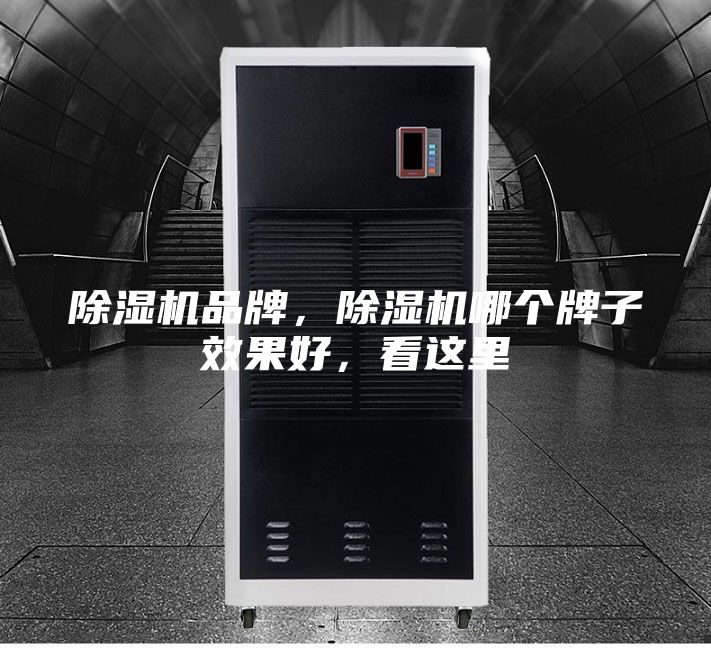 除濕機(jī)品牌,除濕機(jī)哪個(gè)牌子效果好,看這里