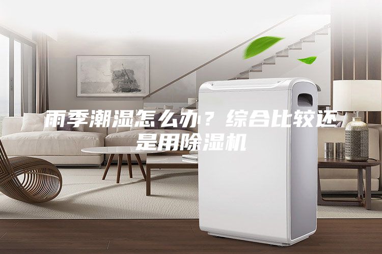 雨季潮濕怎么辦?綜合比較還是用除濕機