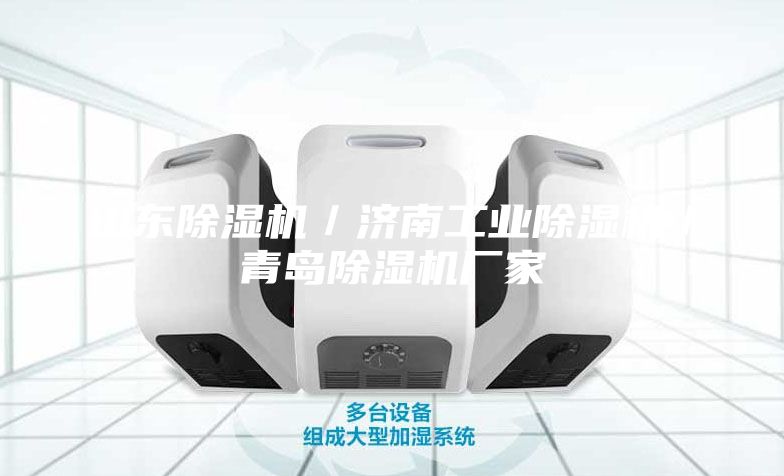 山東除濕機/濟南工業(yè)除濕機/青島除濕機廠家