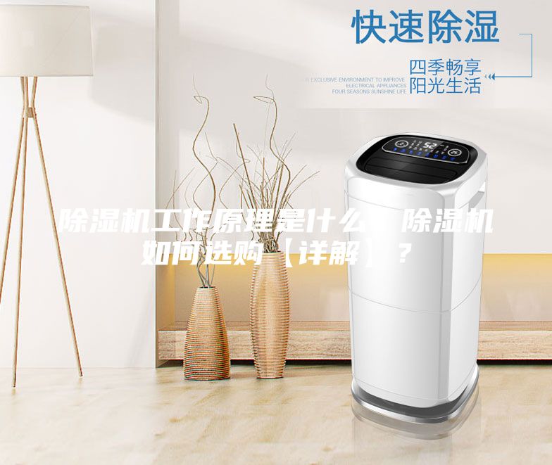 除濕機工作原理是什么，除濕機如何選購【詳解】？