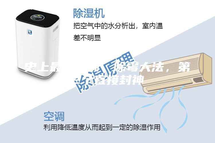 史上最全防潮、除霉大法，第2個(gè)直接封神