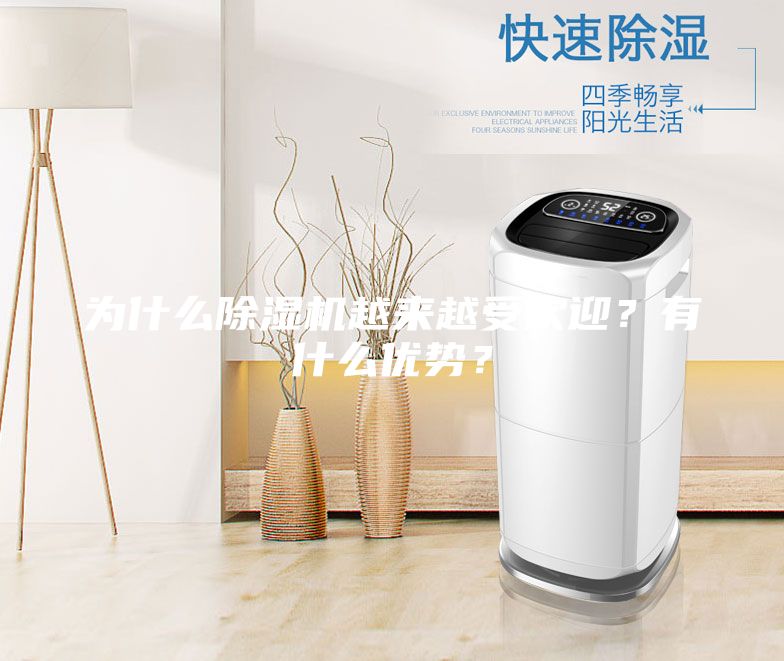 為什么除濕機(jī)越來(lái)越受歡迎？有什么優(yōu)勢(shì)？
