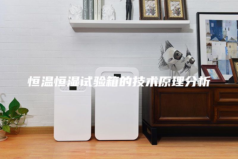 恒溫恒濕試驗(yàn)箱的技術(shù)原理分析