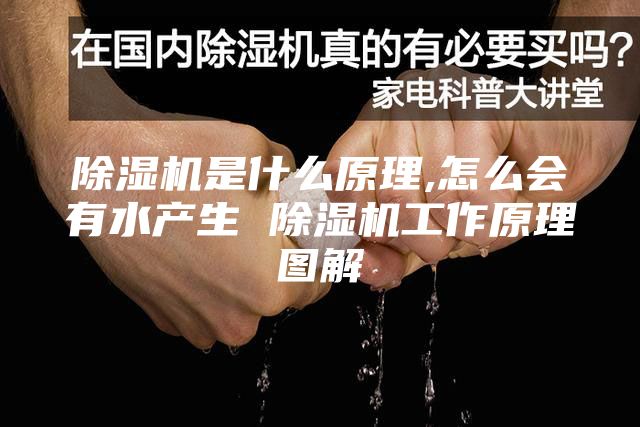 除濕機是什么原理,怎么會有水產(chǎn)生 除濕機工作原理圖解
