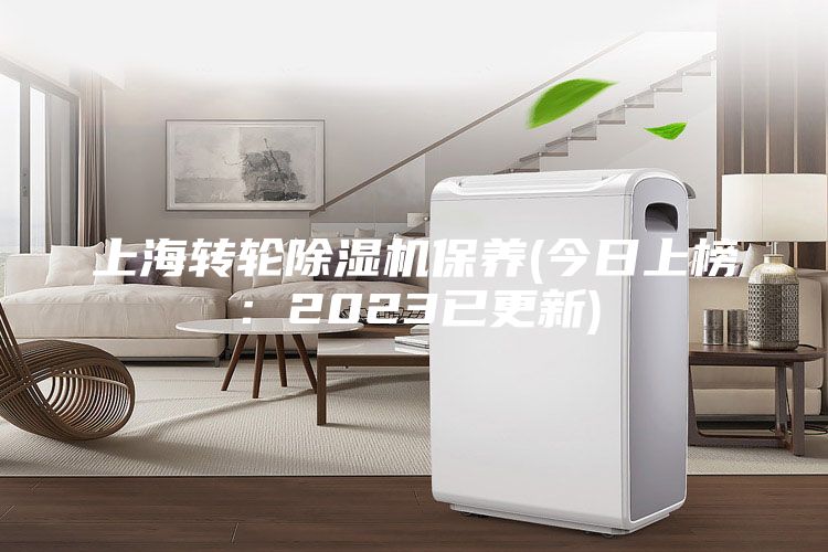 上海轉(zhuǎn)輪除濕機保養(yǎng)(今日上榜:2023已更新)