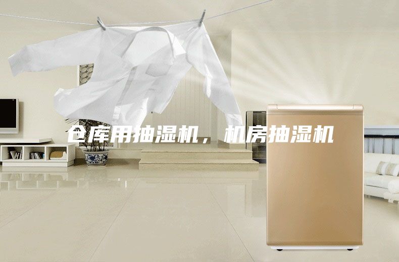 倉庫用抽濕機,機房抽濕機