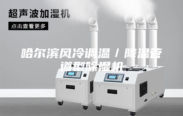 哈爾濱風(fēng)冷調(diào)溫/降溫管道型除濕機