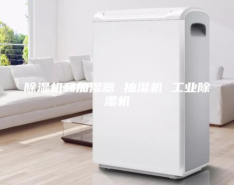 除濕機和加濕器 抽濕機 工業(yè)除濕機